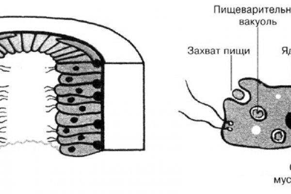 Кракен продает наркотики