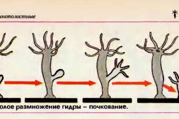 Кракен тор kr2web in