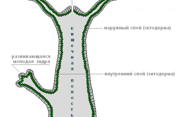 При входе на кракен пишет вы забанены