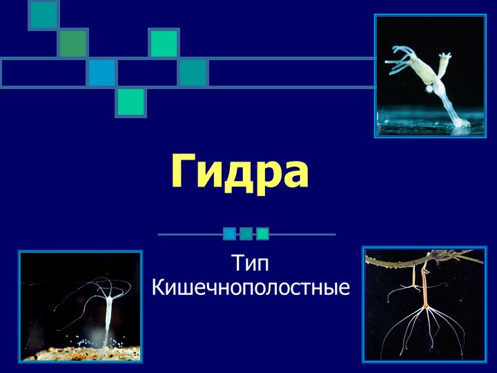 Кракен маркетплейс ассортимент