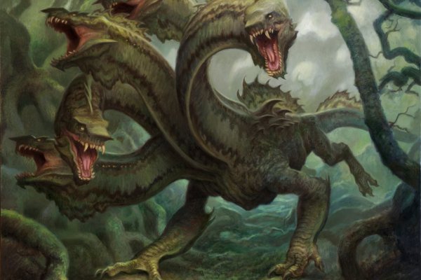 Kraken19at